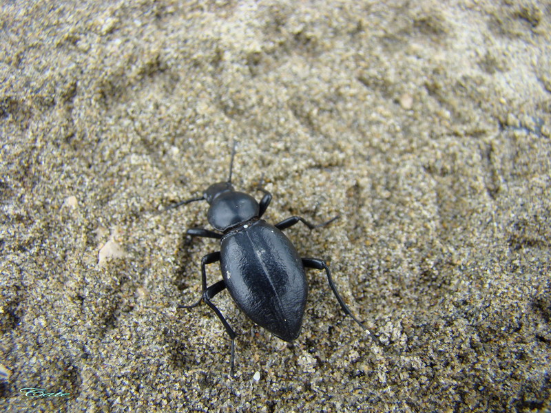 Parco nazionale del Circeo